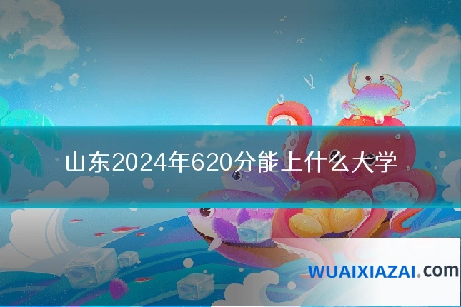 山东2024年620分能上什么大学