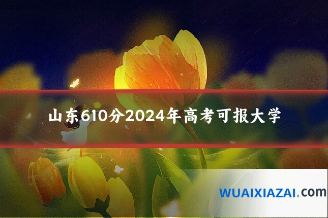 山东610分2024年高考可报大学
