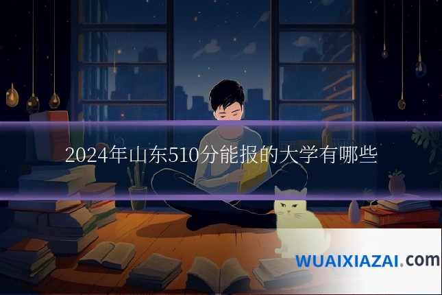 2024年山东510分能报的大学有哪些