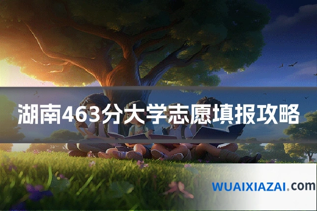湖南463分大学志愿填报攻略