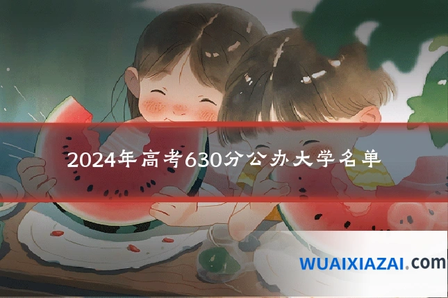 2024年高考630分公办大学名单