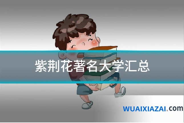 紫荆花著名大学汇总