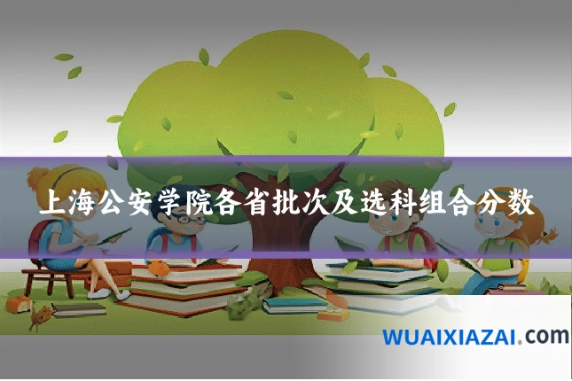 上海公安学院各省批次及选科组合分数