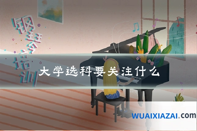 大学选科要关注什么