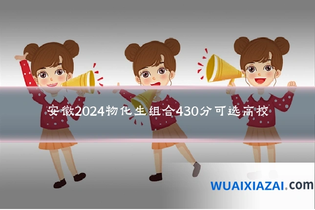 安徽2024物化生组合430分可选高校