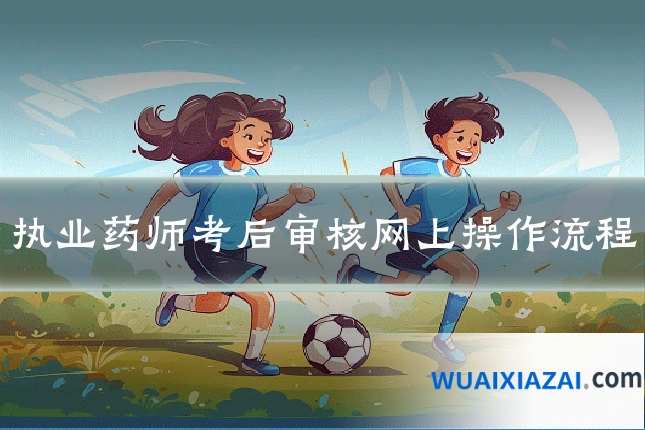 执业药师考后审核网上操作流程
