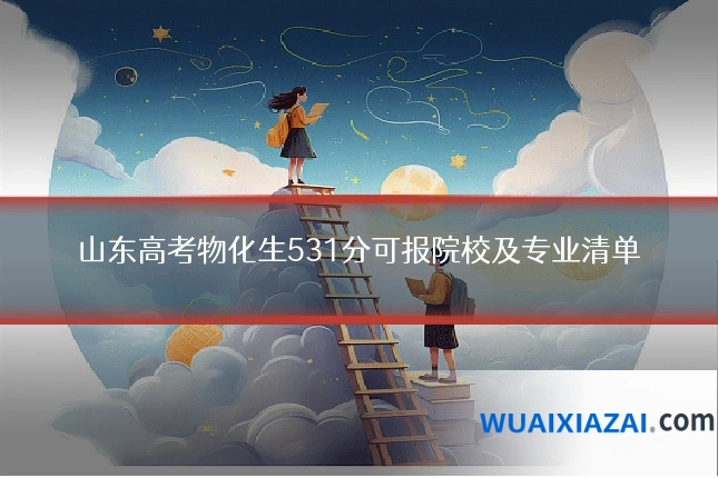 山东高考物化生531分可报院校及专业清单