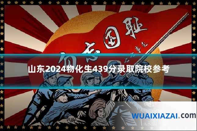 山东2024物化生439分录取院校参考