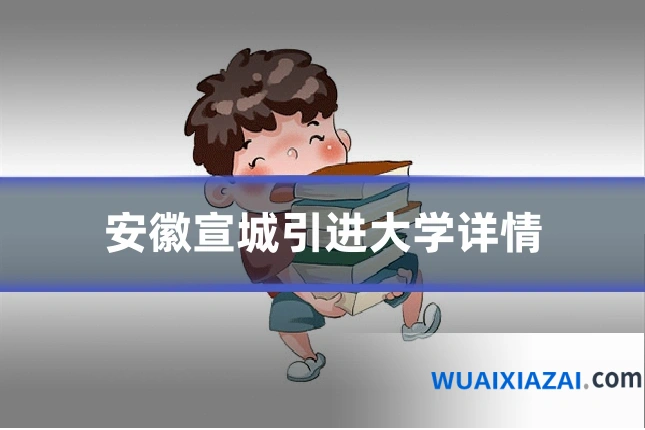 安徽宣城引进大学详情