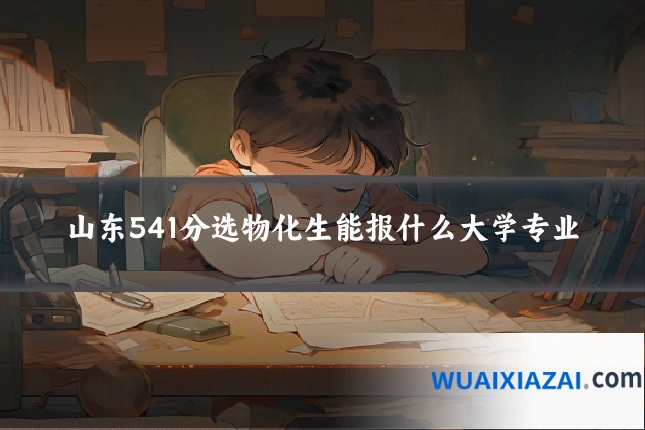 山东541分选物化生能报什么大学专业