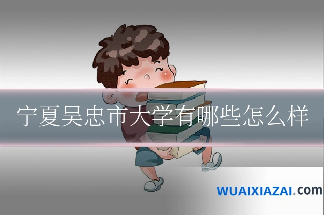 宁夏吴忠市大学有哪些怎么样