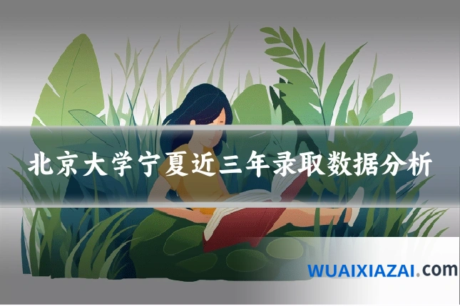 北京大学宁夏近三年录取数据分析