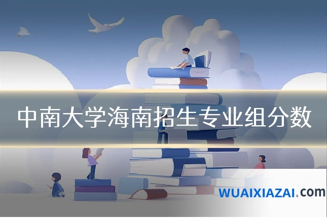中南大学海南招生专业组分数