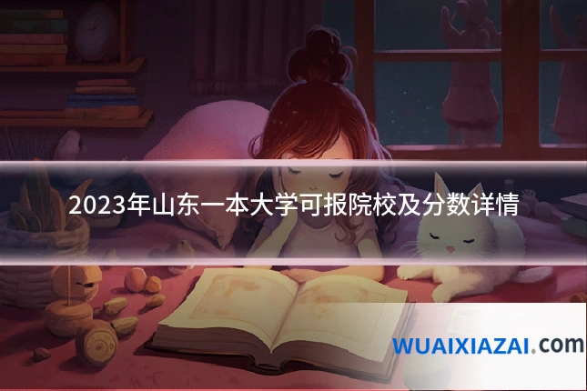 2023年山东一本大学可报院校及分数详情