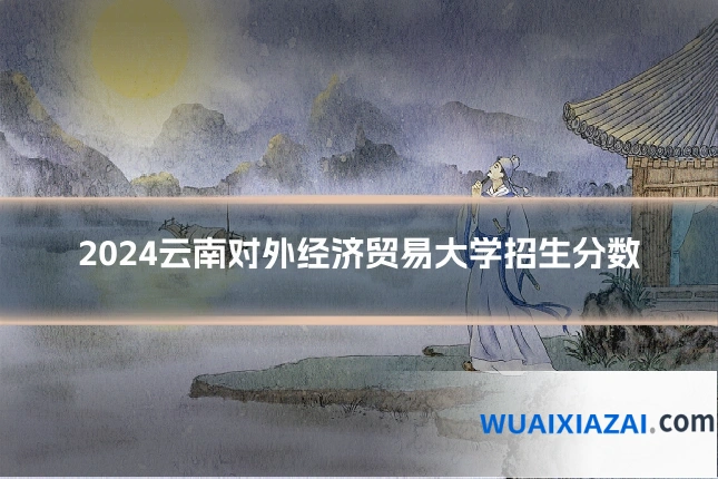 2024云南对外经济贸易大学招生分数
