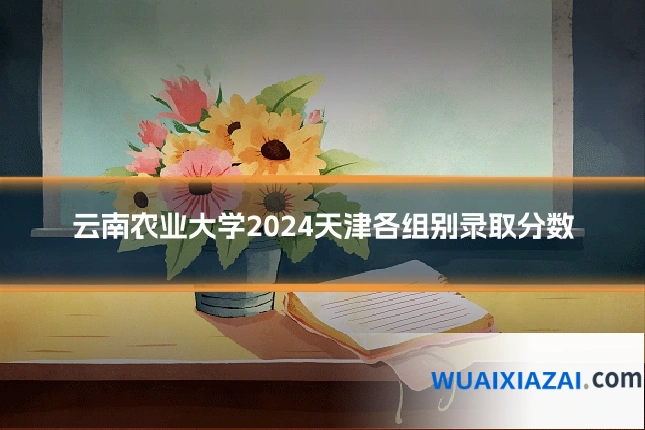 云南农业大学2024天津各组别录取分数