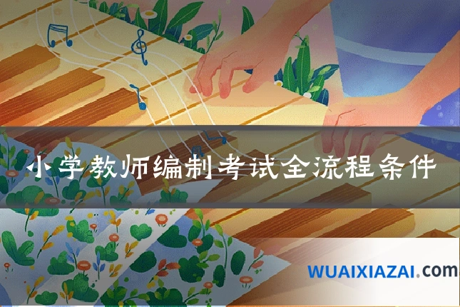 小学教师编制考试全流程条件