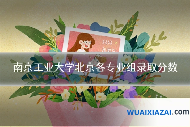 南京工业大学北京各专业组录取分数