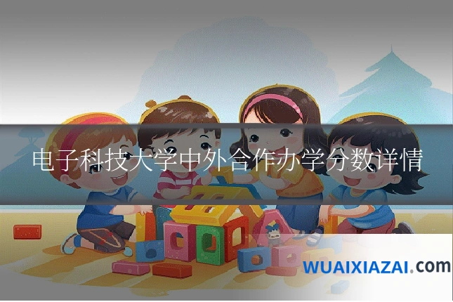 电子科技大学中外合作办学分数详情