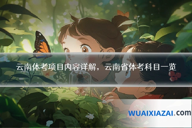 云南体考项目内容详解，云南省体考科目一览