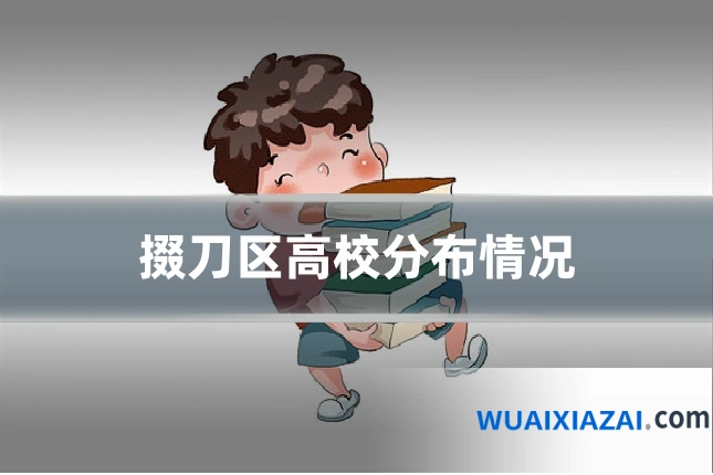 掇刀区高校分布情况