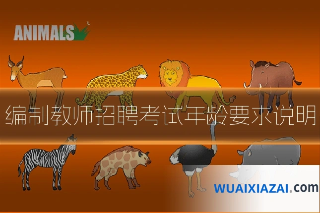 编制教师招聘考试年龄要求说明