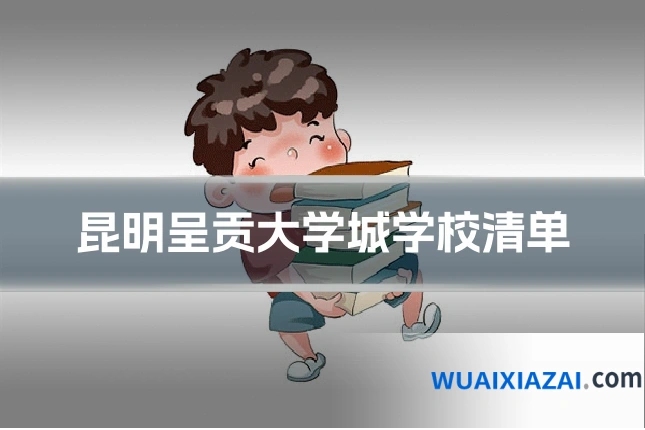 昆明呈贡大学城学校清单