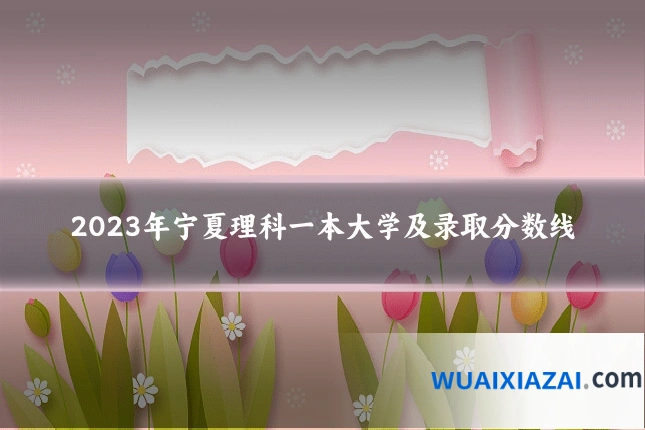 2023年宁夏理科一本大学及录取分数线