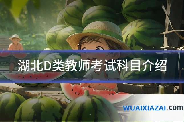 湖北D类教师考试科目介绍