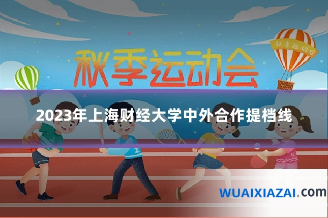 2023年上海财经大学中外合作提档线