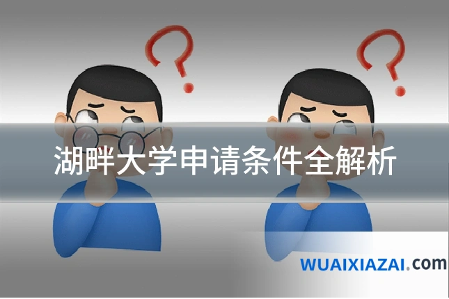 湖畔大学申请条件全解析