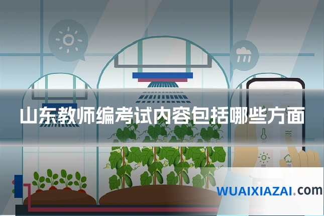 山东教师编考试内容包括哪些方面