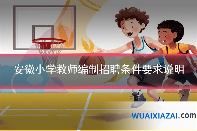 安徽小学教师编制招聘条件要求说明