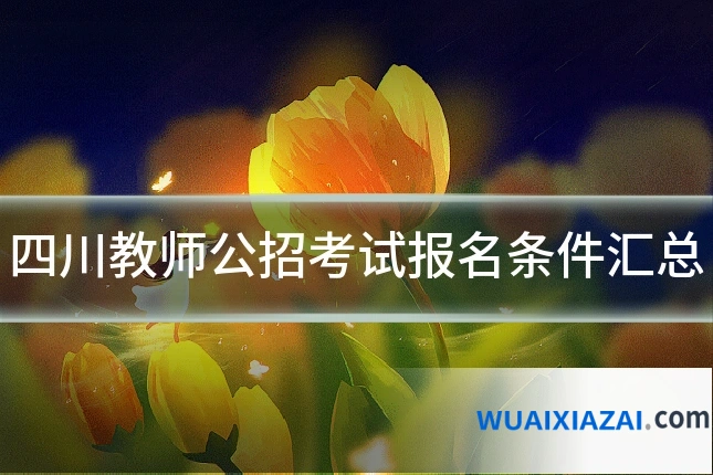 四川教师公招考试报名条件汇总