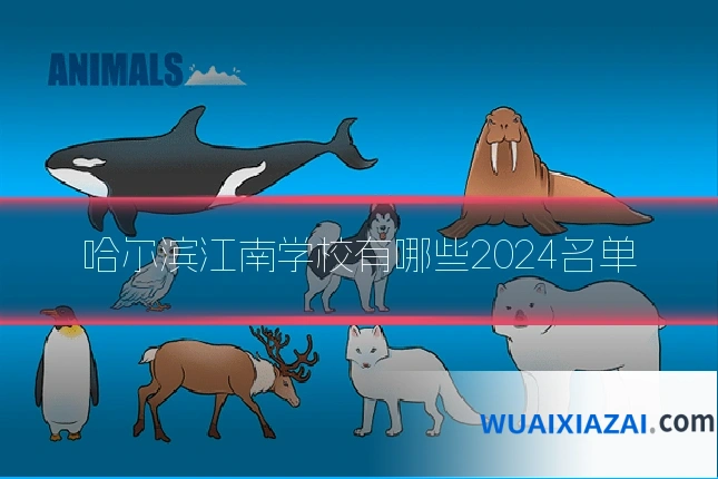 哈尔滨江南学校有哪些2024名单