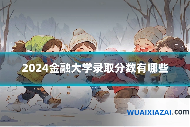2024金融大学录取分数有哪些