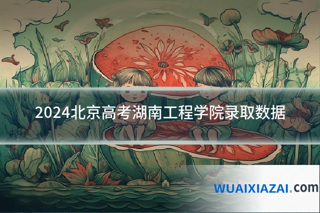 2024北京高考湖南工程学院录取数据