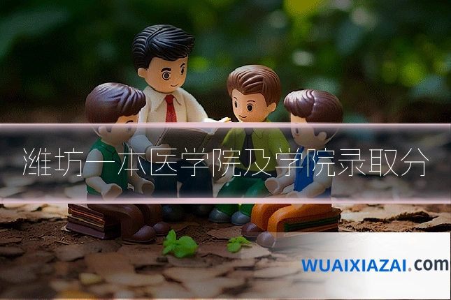 潍坊一本医学院及学院录取分