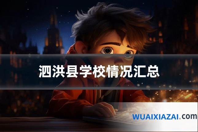 泗洪县学校情况汇总