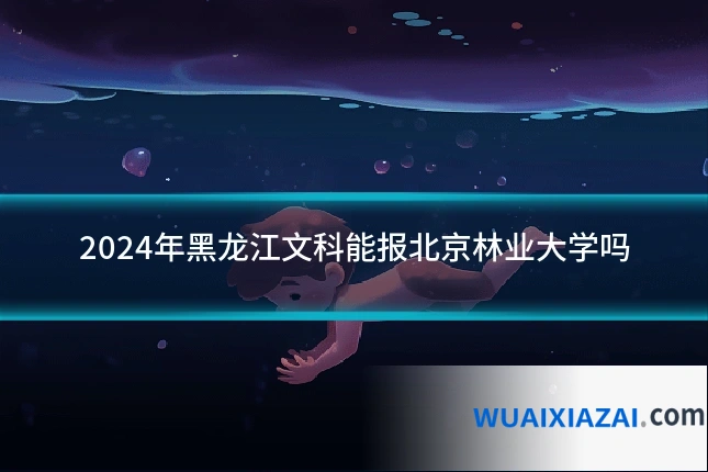 2024年黑龙江文科能报北京林业大学吗