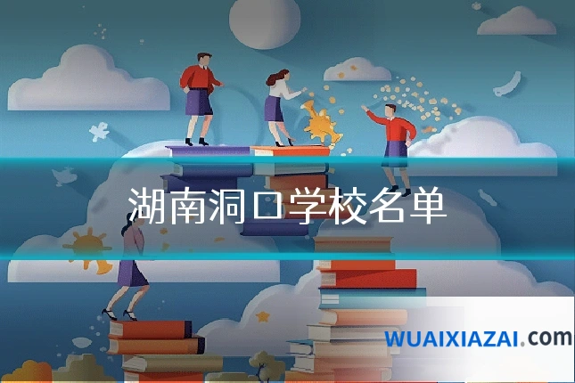 湖南洞口学校名单