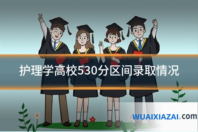 护理学高校530分区间录取情况