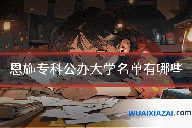 恩施专科公办大学名单有哪些