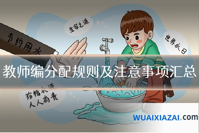 教师编分配规则及注意事项汇总