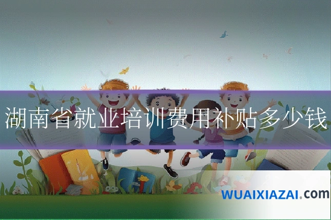 湖南省就业培训费用补贴多少钱