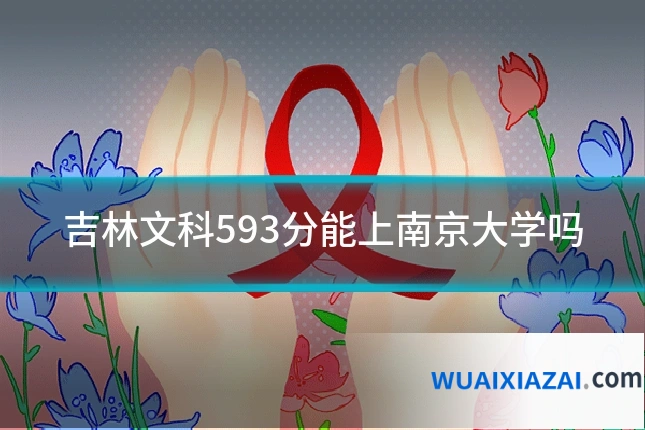 吉林文科593分能上南京大学吗