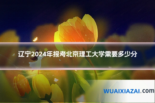 辽宁2024年报考北京理工大学需要多少分
