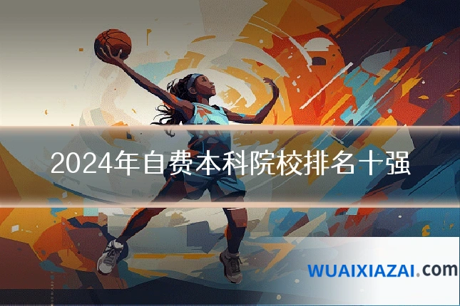 2024年自费本科院校排名十强