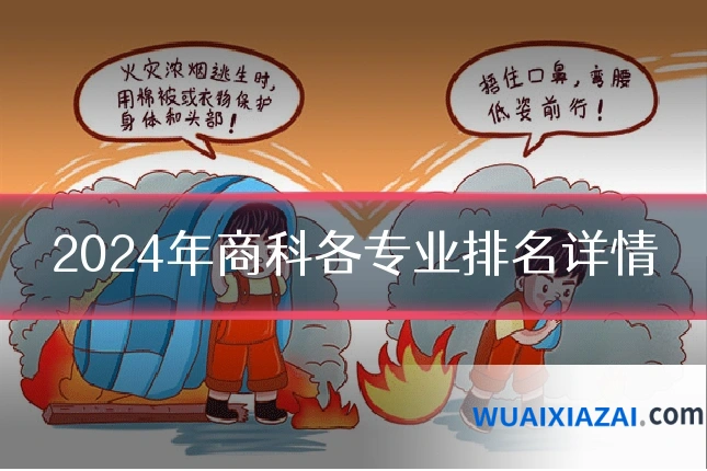 2024年商科各专业排名详情