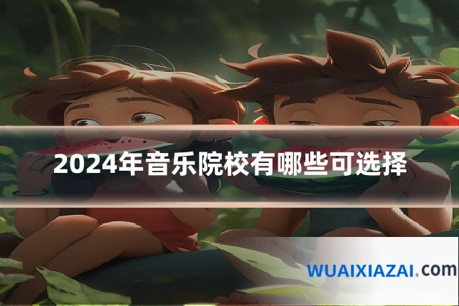 2024年音乐院校有哪些可选择